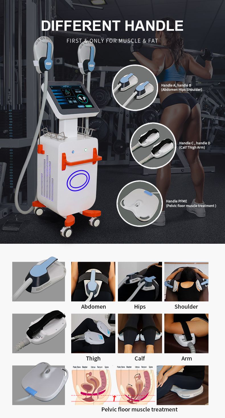 Macchina per sculture per il corpo professionale