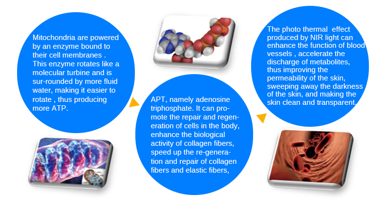 Macchina per il ringiovanimento della pelle