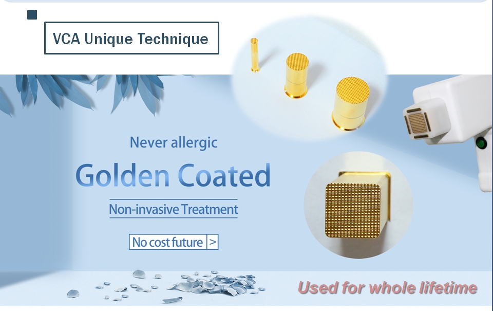 testa rivestita d'oro